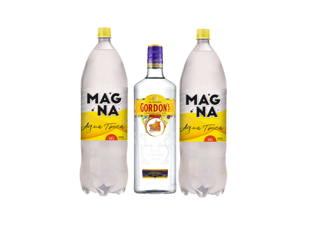 Gordons + 2 Magna Tónicas 1,5L