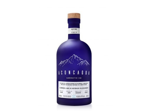 [PR/08101] Aconcagua Bot Azul