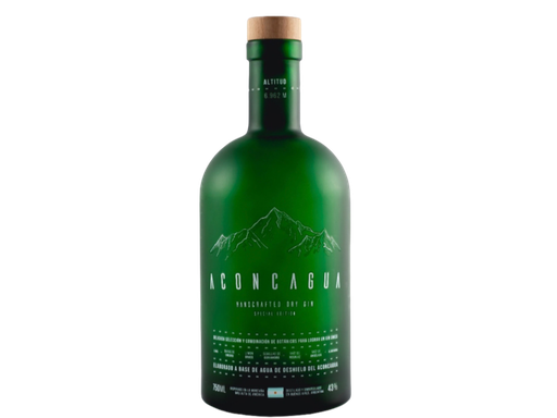 [PR/08103] Aconcagua Bot Verde