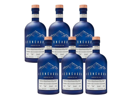 [PR/08733] Gin Aconcagua Caja 6U