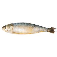 [126] Sardinas  Portuguesas