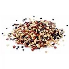 Semilla De Quinoa Tricolor