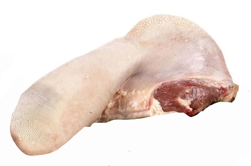 Lengua Kg
