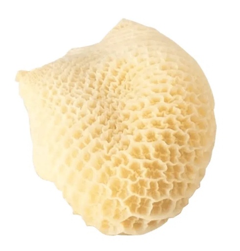 Mondongo