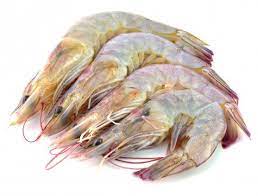 [241] Langostino Entero Crudo Grande