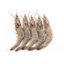 [257] Langostino Entero Crudo Mediano